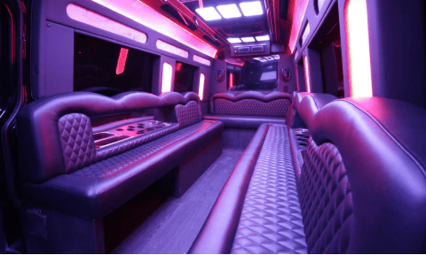 Smyrna 14 Passenger Sprinter Bus Interior